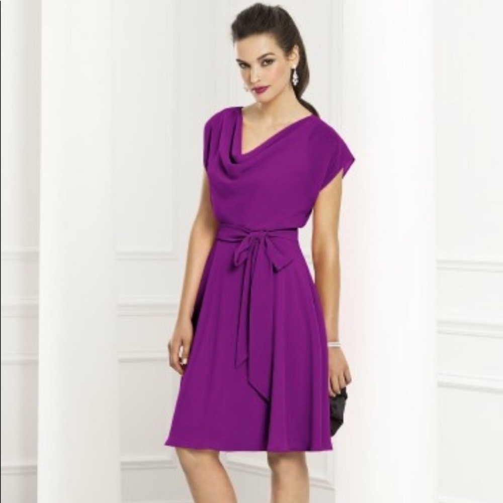 EUC After Six Bridesmaid/Cocktail dress Wild Berry